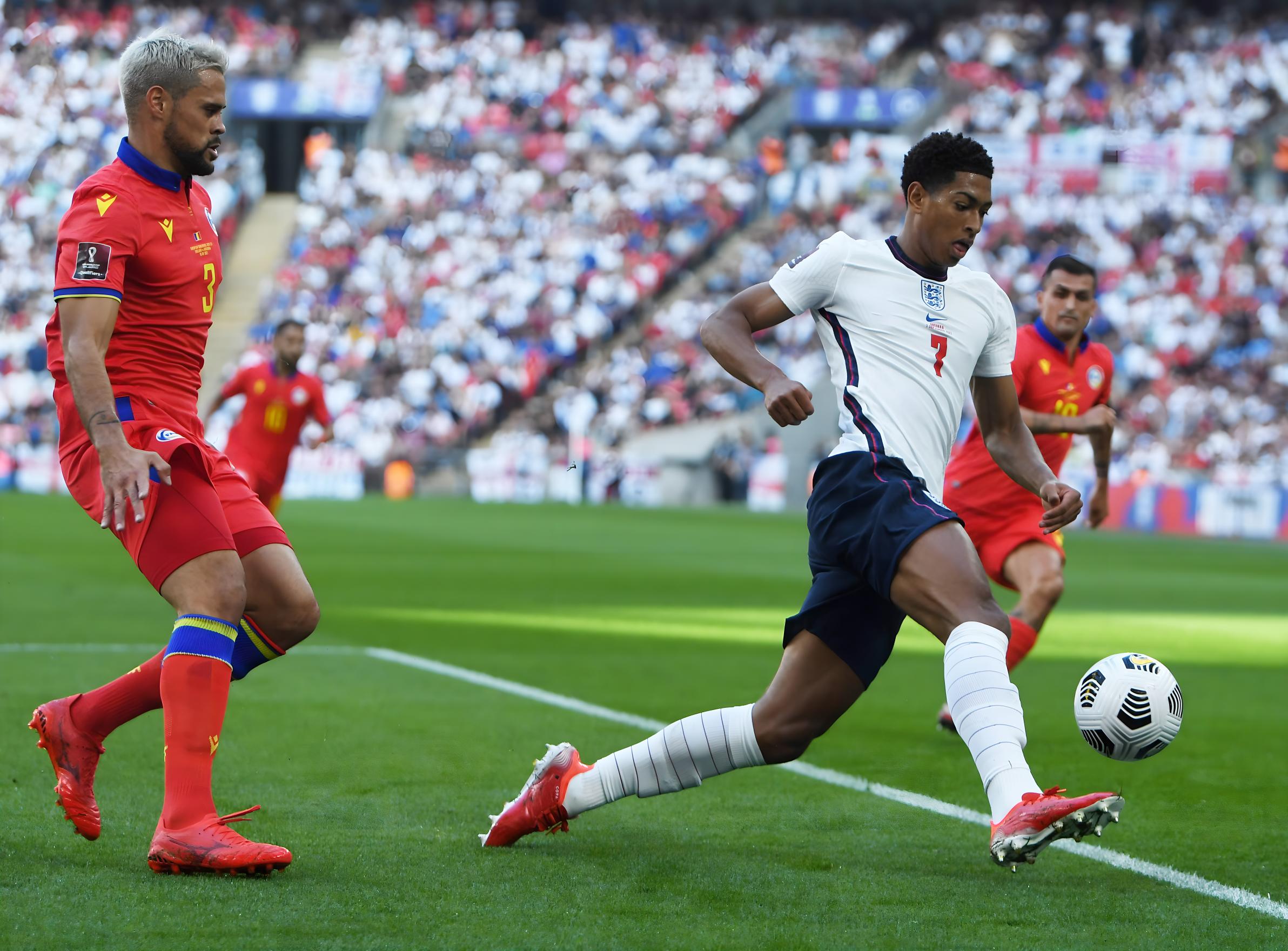 世界展示了 世界展示了