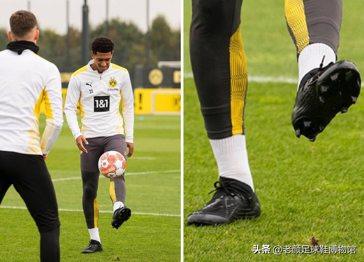 悄然孕育着 悄然孕育着