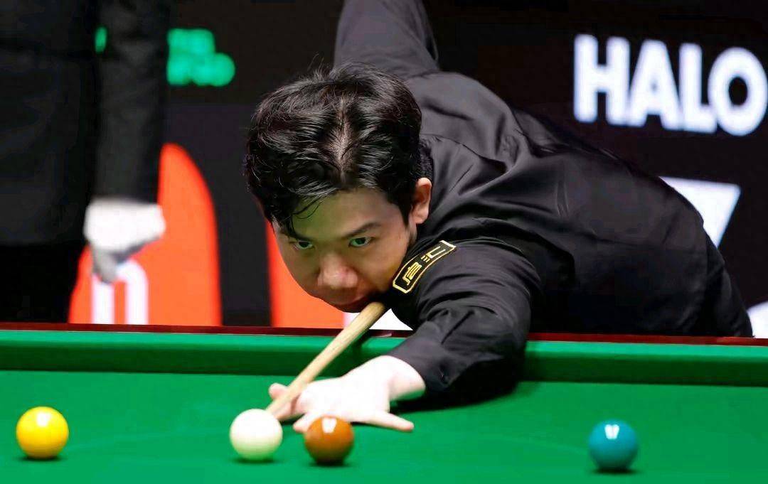 在近年来已 在近年来已